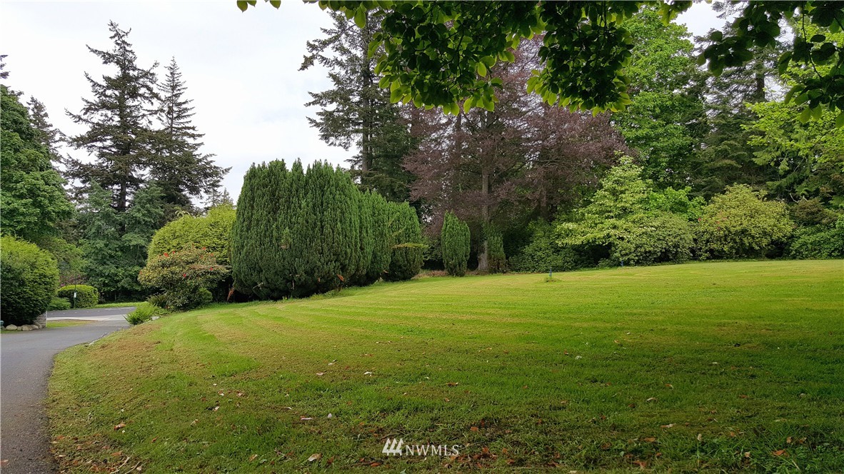 0 Hawthorn Road Bellingham, WA 98225 - Photo 4 of 22