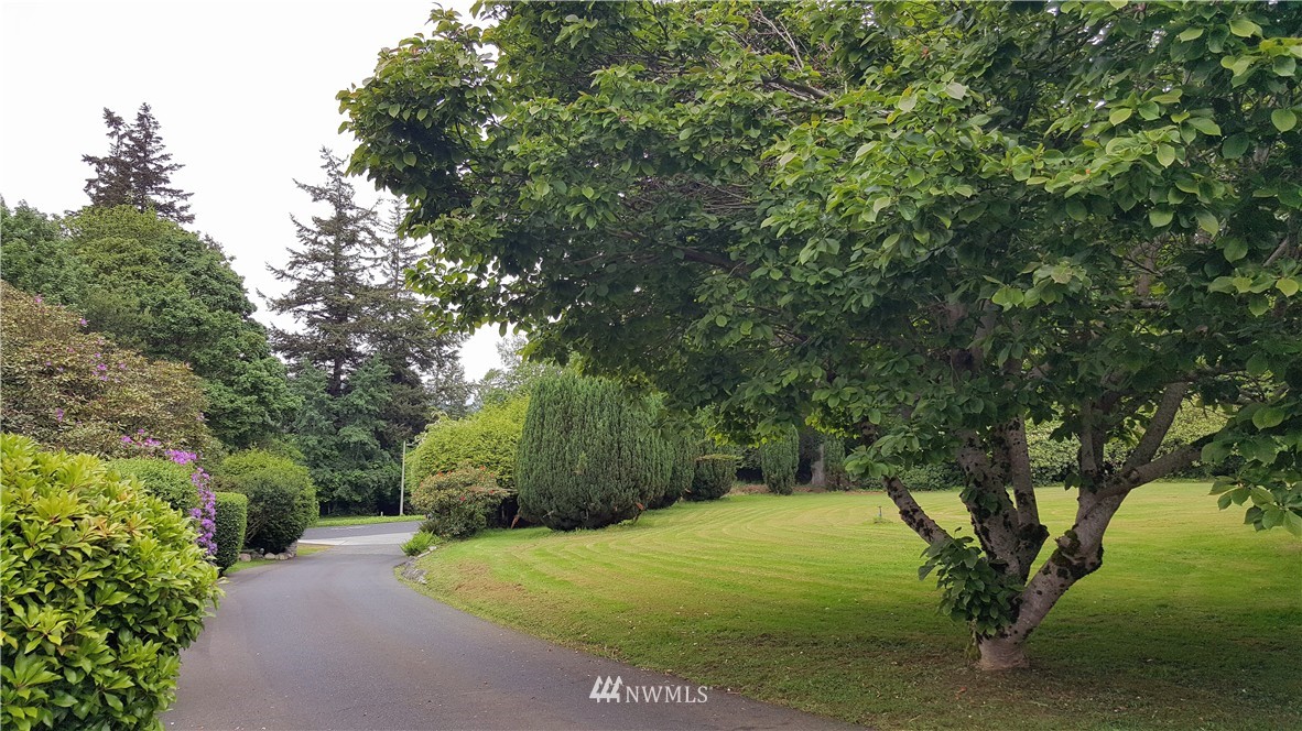 0 Hawthorn Road Bellingham, WA 98225 - Photo 6 of 22