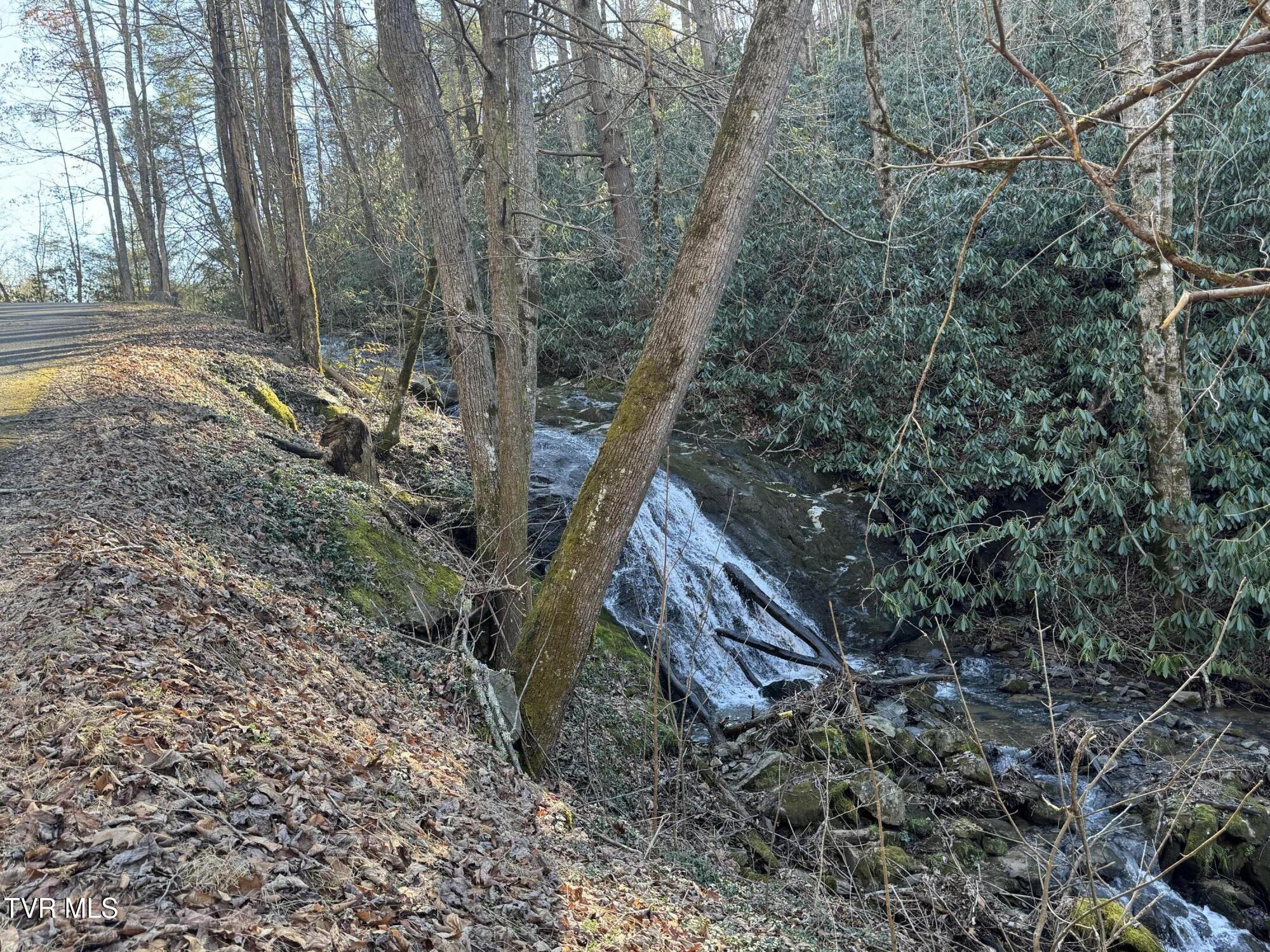 IMG_0802