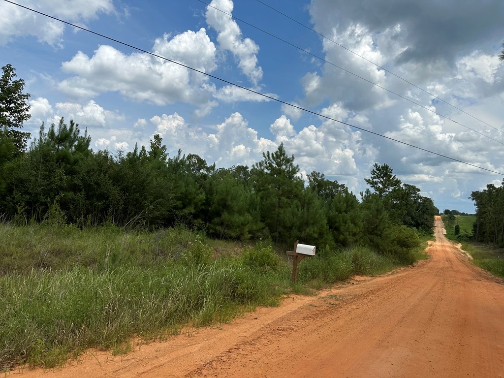 5-acres Old Elba Road Coffee Springs, AL 36318 - Photo 12 of 18