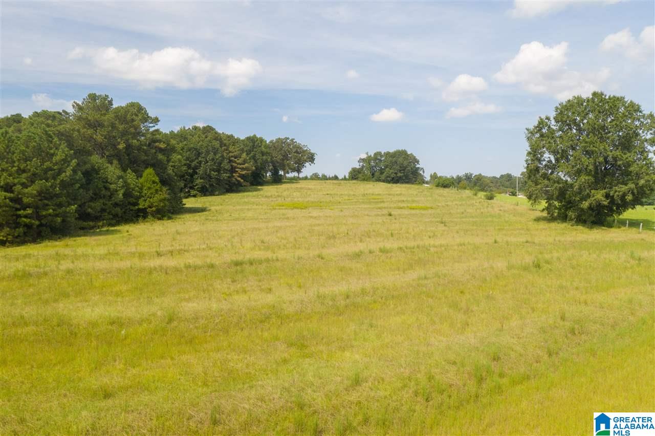 205 County Road 3 Reform, AL 35481 - Photo 33 of 46