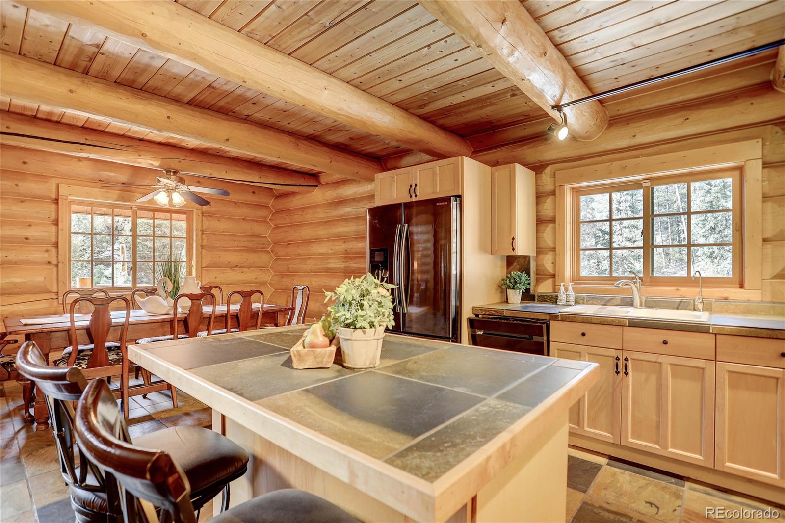 14662 South Elk Creek Road Pine, CO 80470 - Photo 13 of 39
