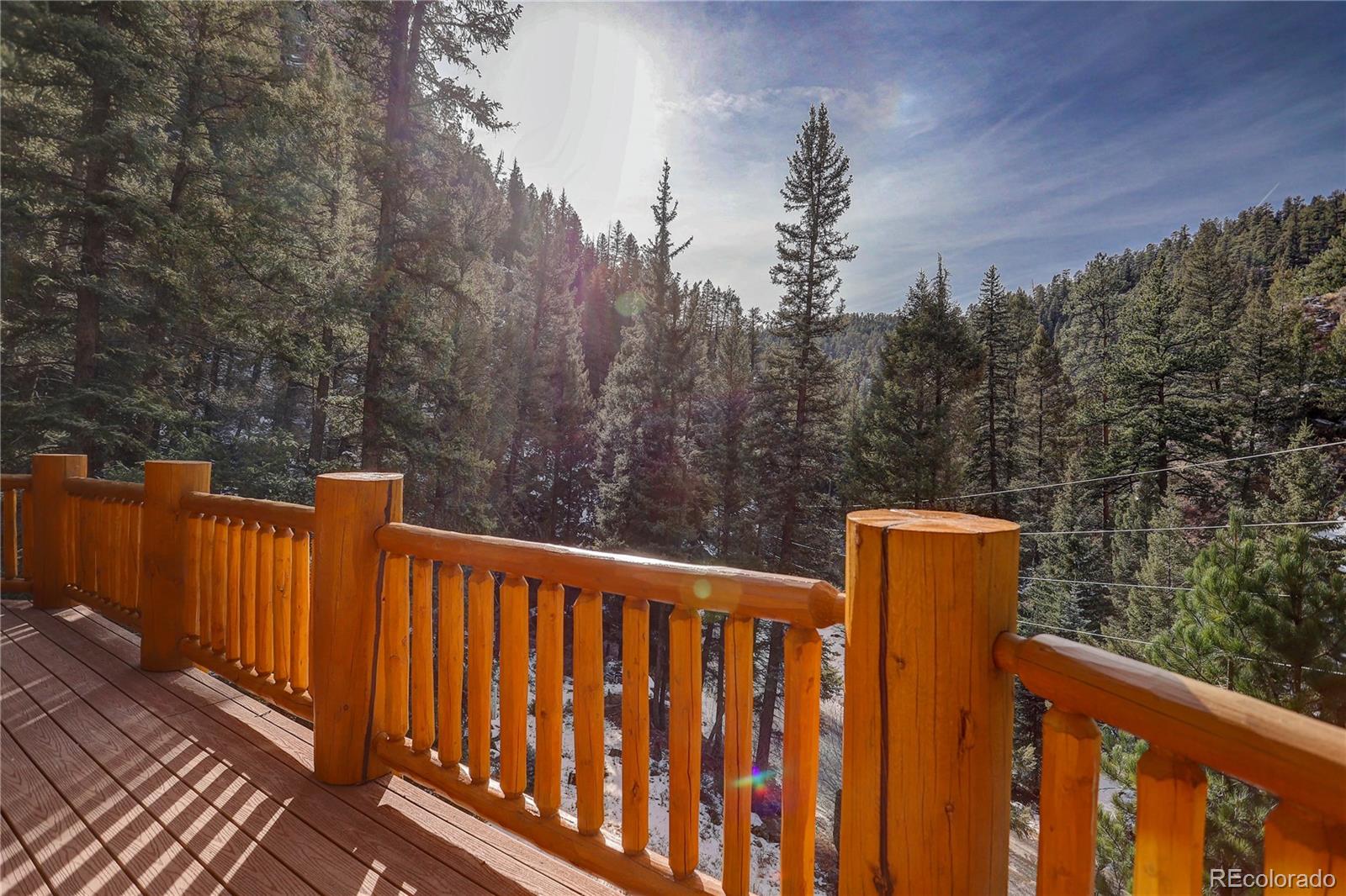 14662 South Elk Creek Road Pine, CO 80470 - Photo 33 of 39