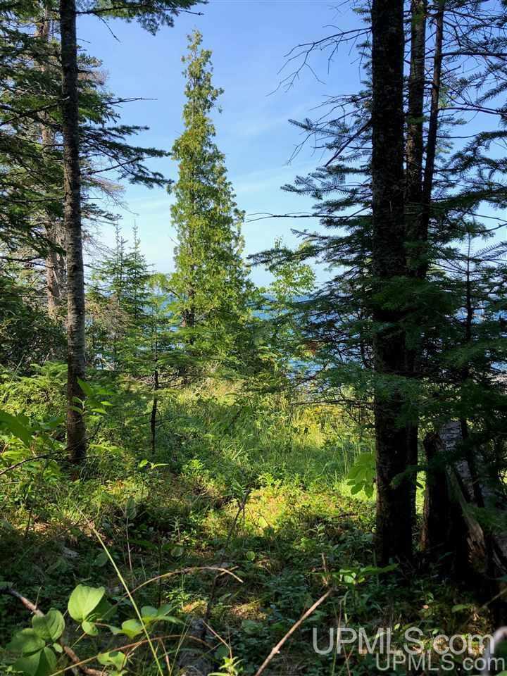 Tbd Goodell Road, Unit LOT 3 Mohawk, MI 49950 - Photo 17 of 20