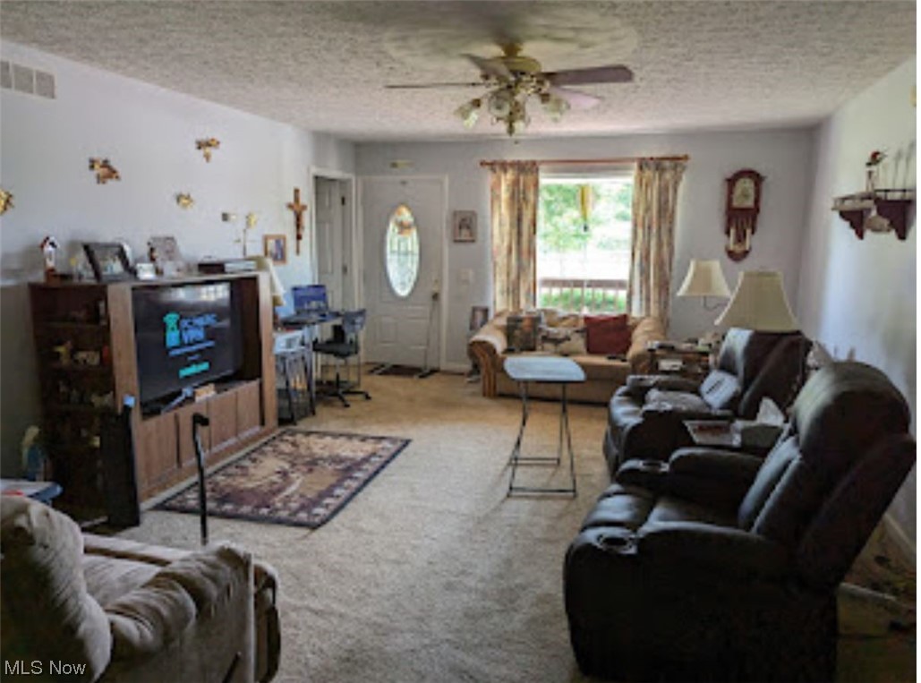 965 Access Road Williamstown, WV 26187 - Photo 4 of 11 Living room