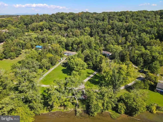 a view of a field with a tree
