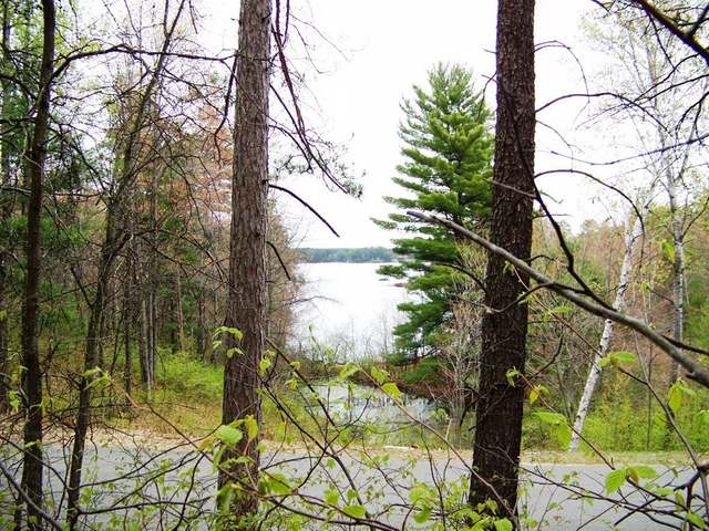Lot 12 Hwy 47 Rhinelander Wi 54501 Rhinelander, WI 54501 - Photo 4 of 6 Gallery Image 4