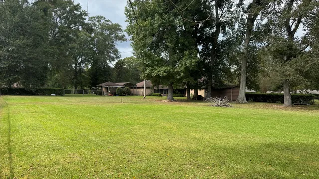 a view of a large yard with a large trees
