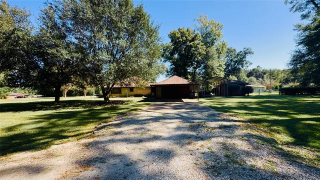 a view of a park with large trees