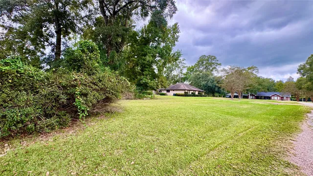 a green field with lots of bushes