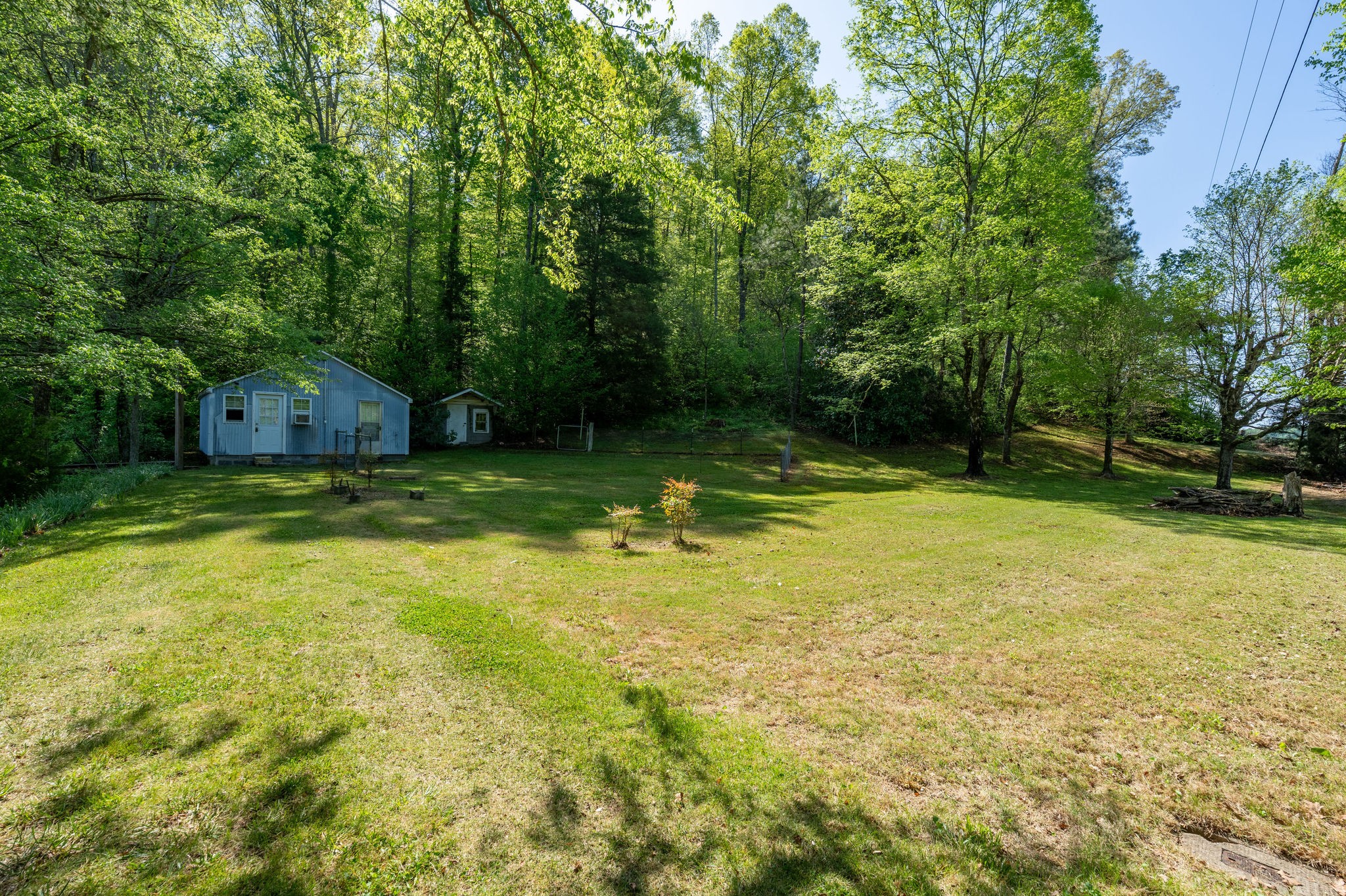 3795 Wayland Springs Road Iron City, TN 38463 - Photo 20 of 39