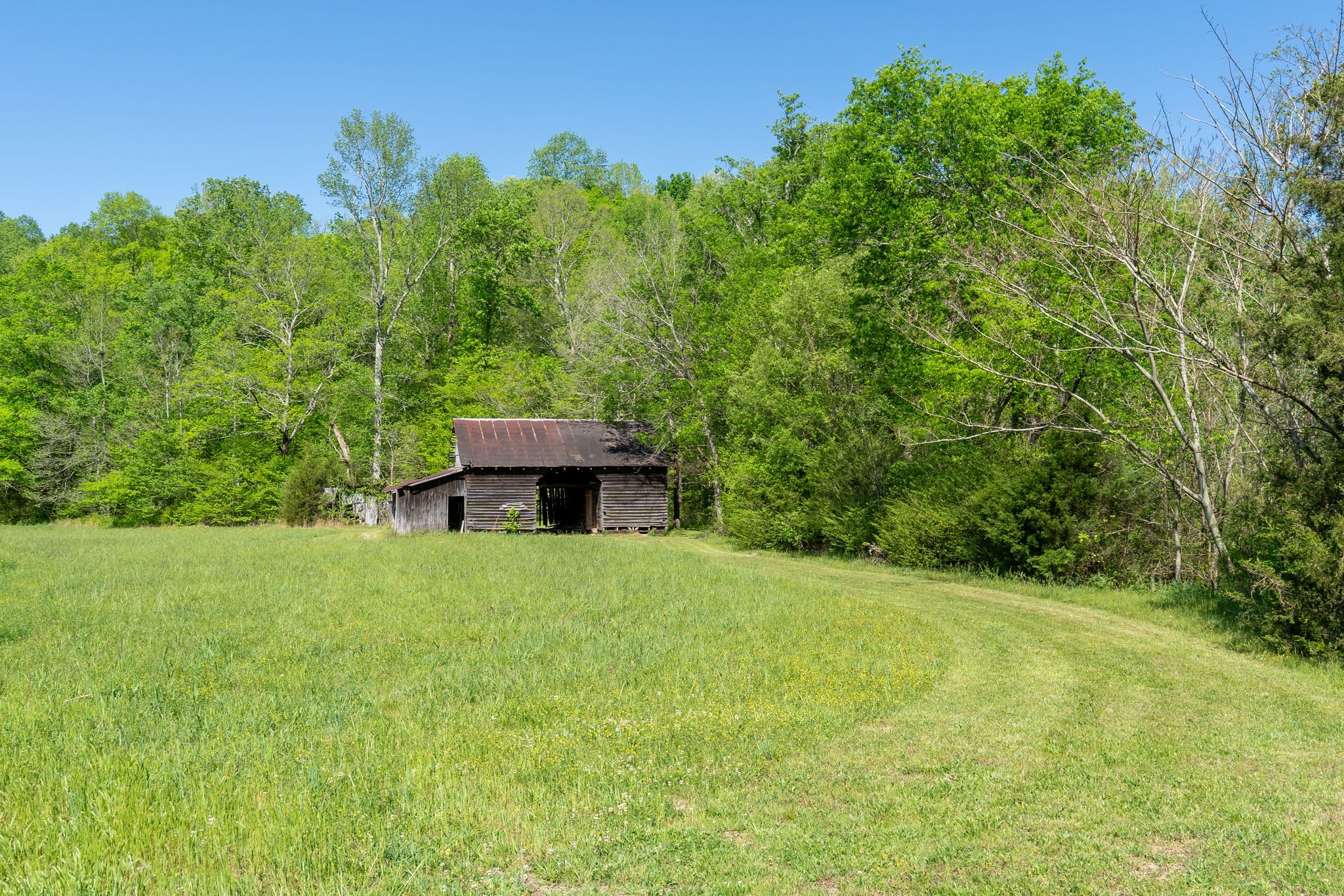 3795 Wayland Springs Road Iron City, TN 38463 - Photo 21 of 39