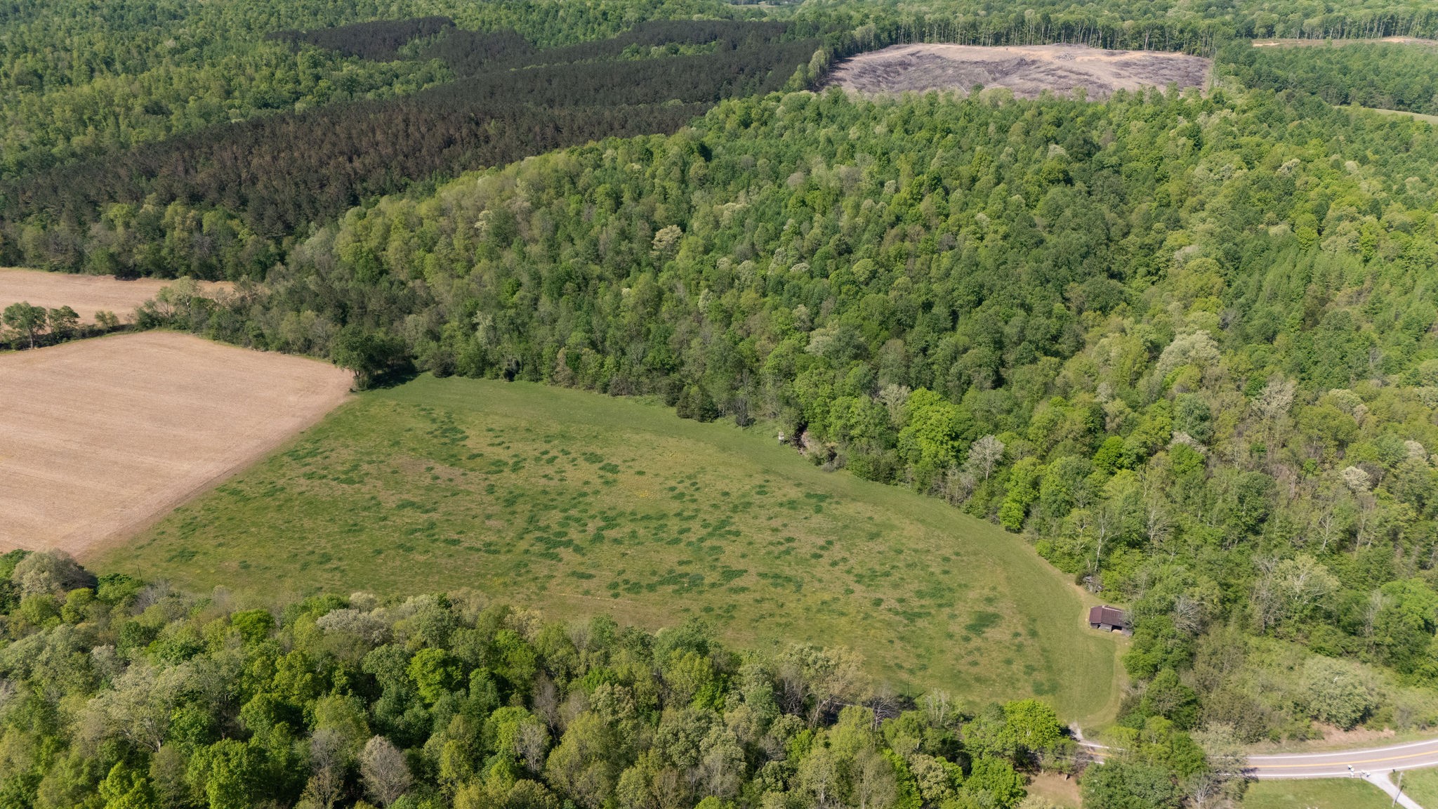 3795 Wayland Springs Road Iron City, TN 38463 - Photo 22 of 39