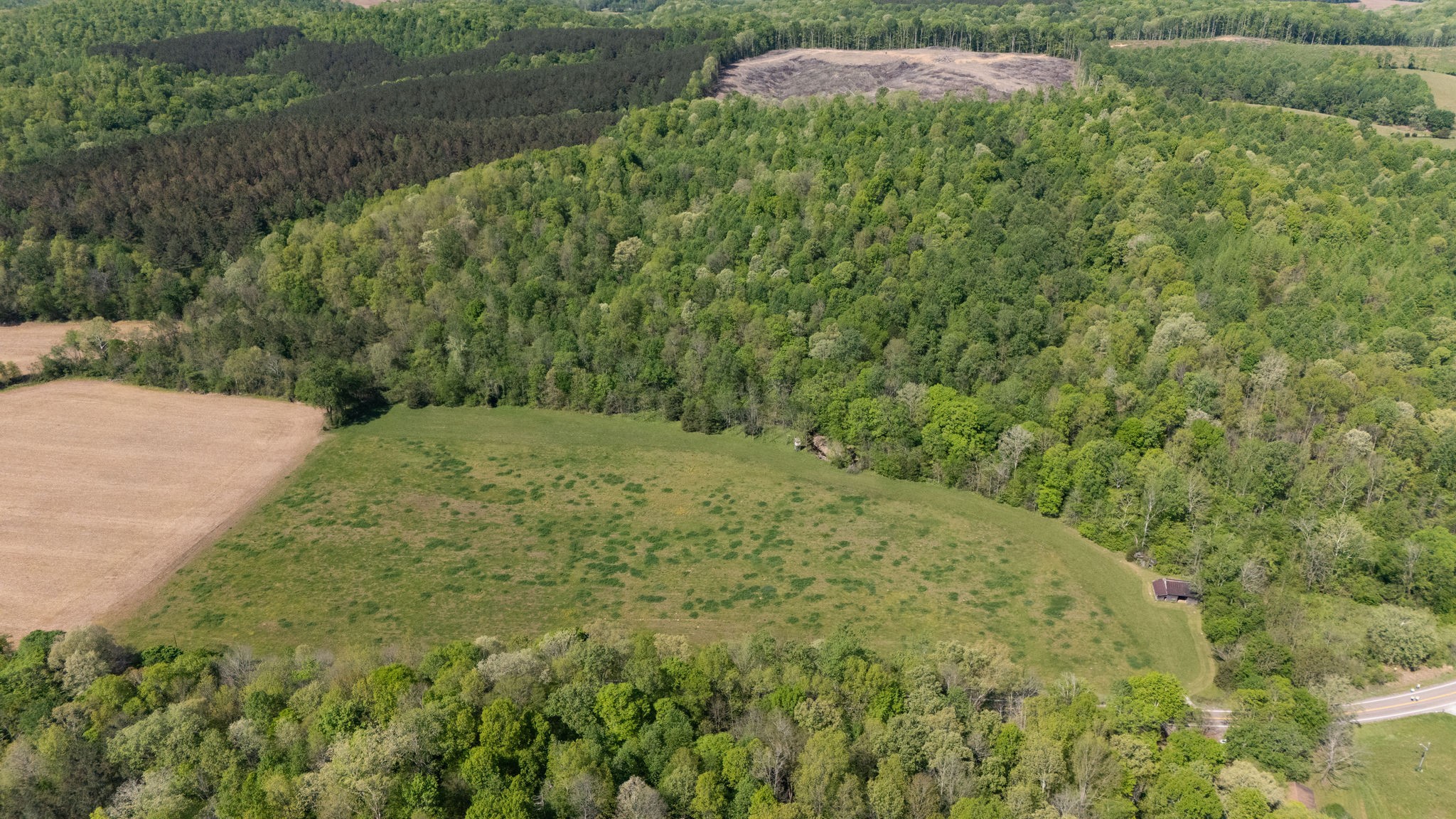 3795 Wayland Springs Road Iron City, TN 38463 - Photo 23 of 39
