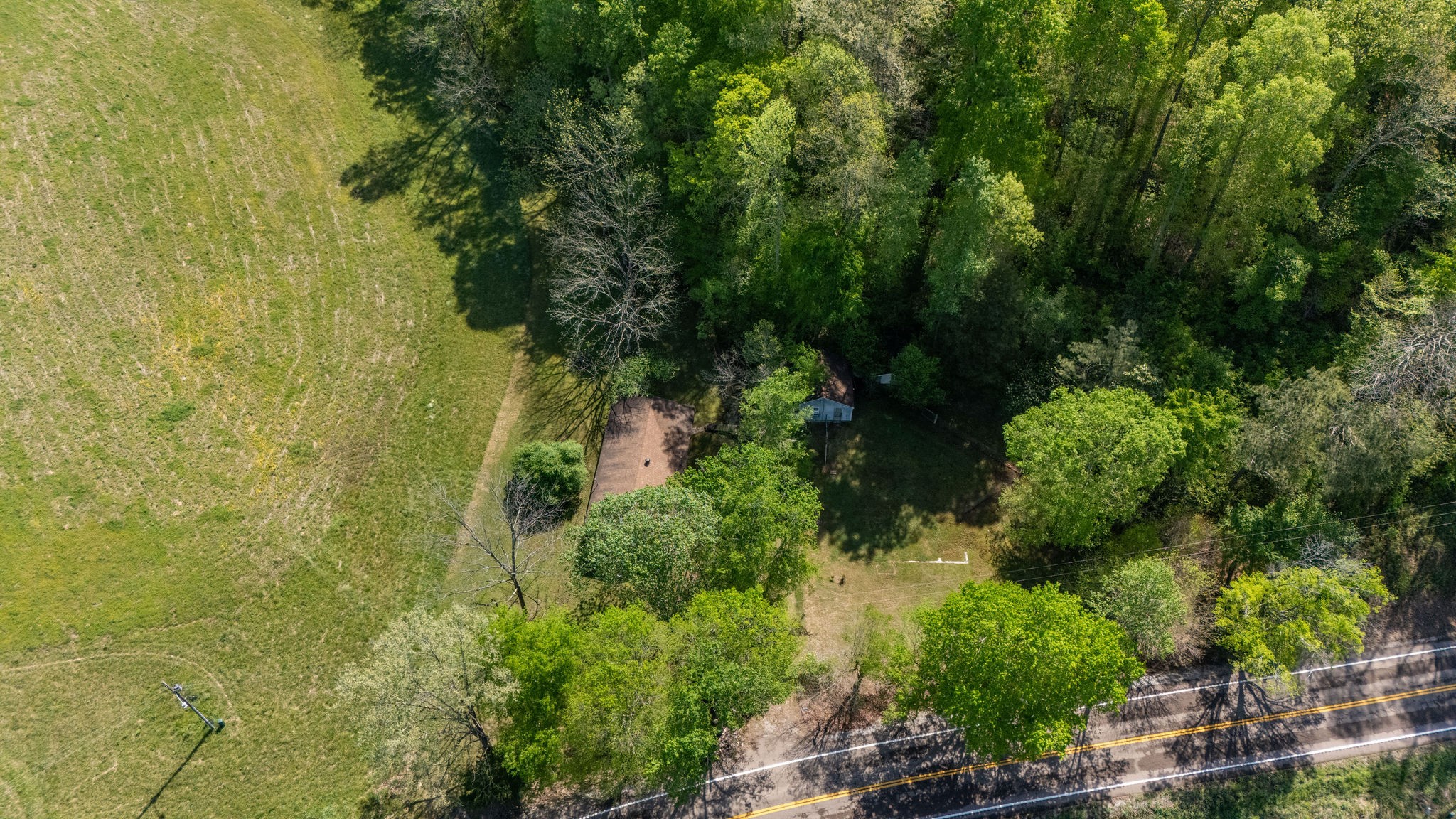 3795 Wayland Springs Road Iron City, TN 38463 - Photo 28 of 39