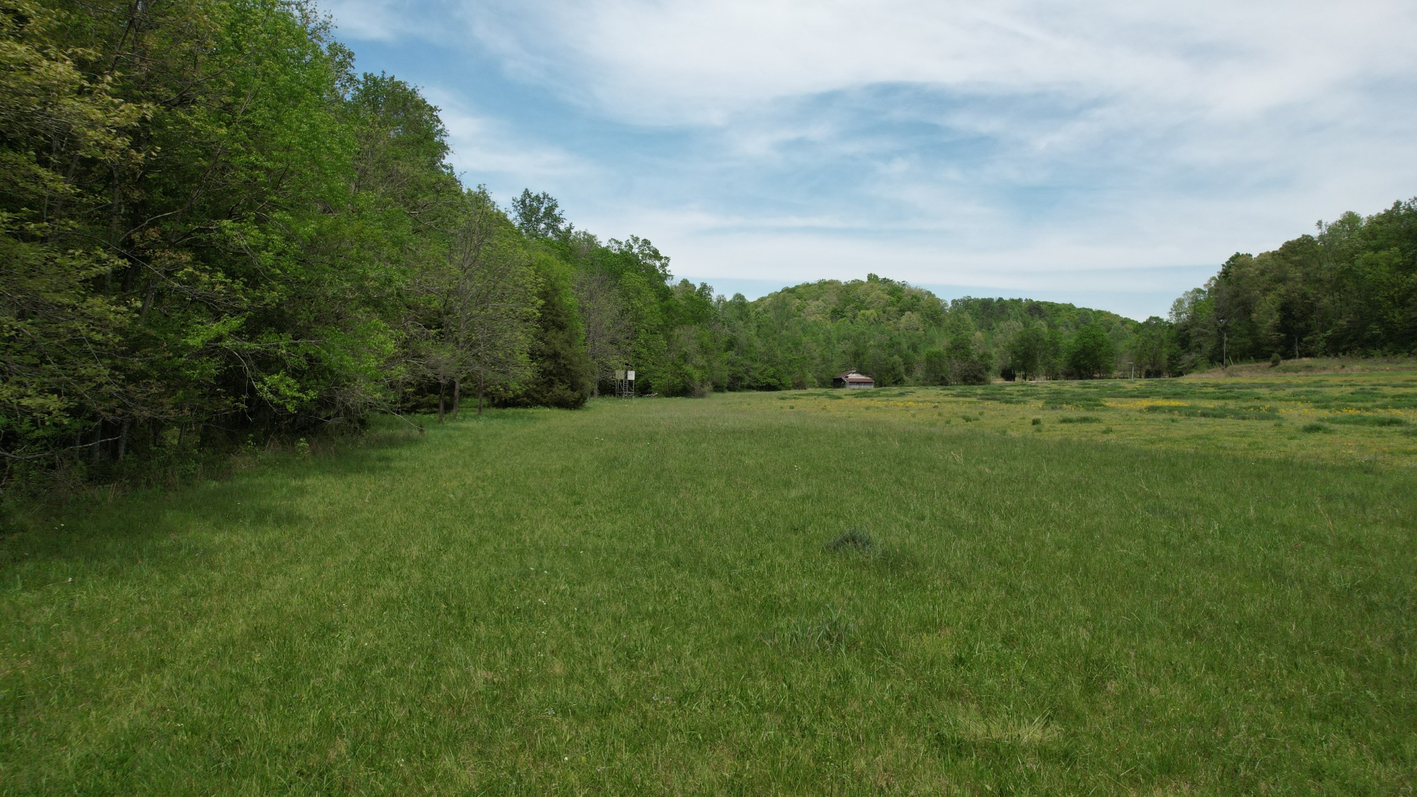 3795 Wayland Springs Road Iron City, TN 38463 - Photo 29 of 39