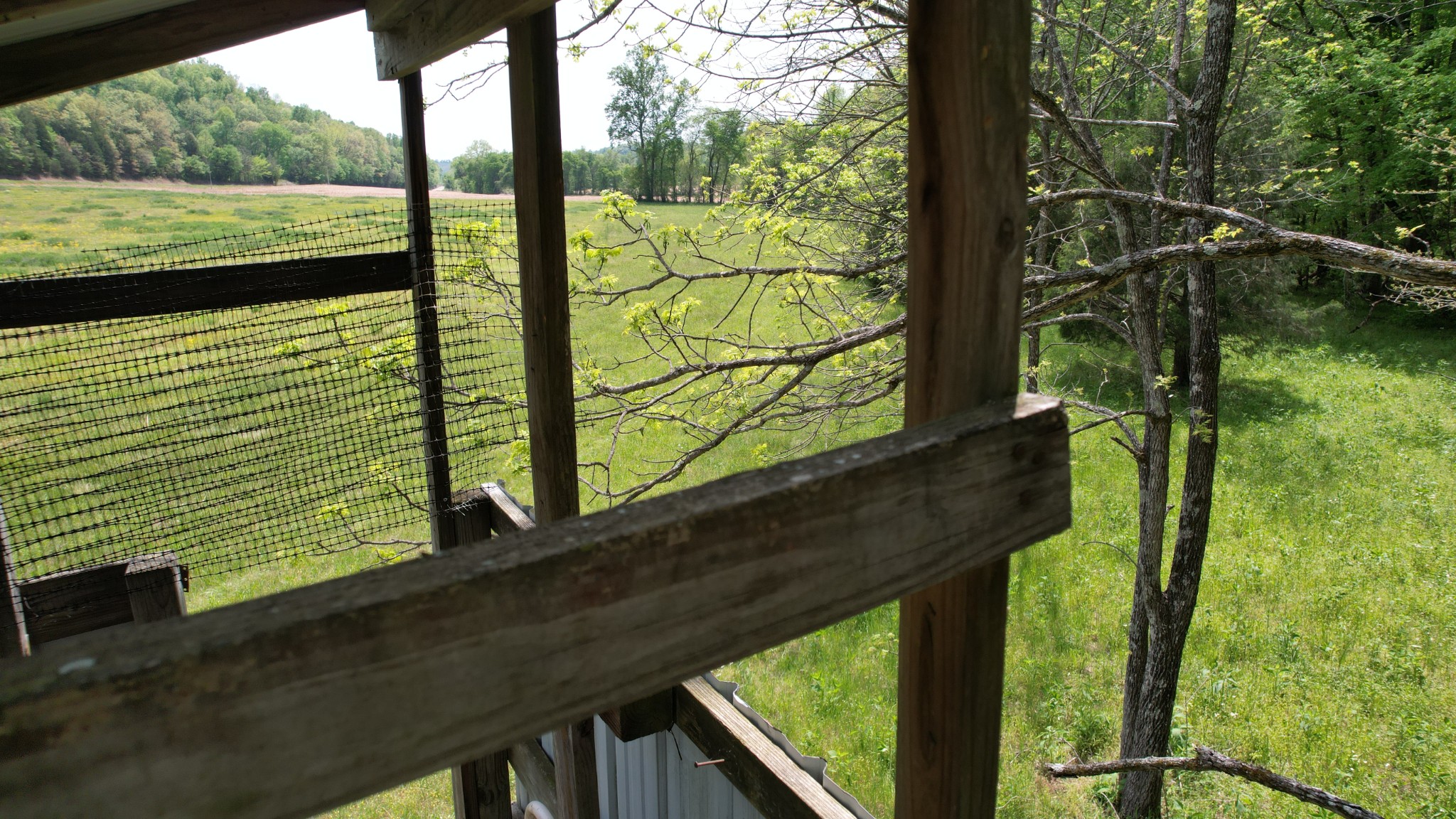3795 Wayland Springs Road Iron City, TN 38463 - Photo 34 of 39
