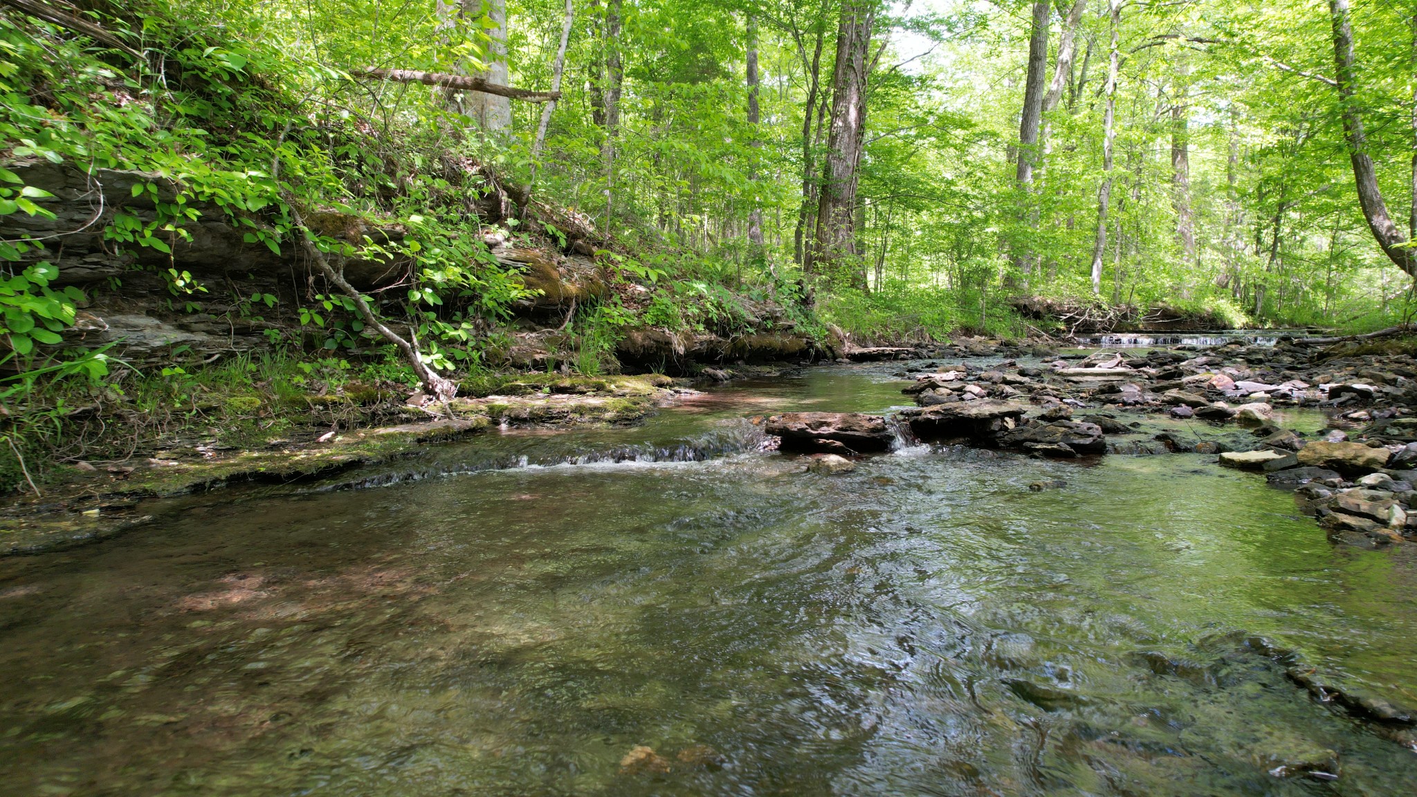 3795 Wayland Springs Road Iron City, TN 38463 - Photo 36 of 39