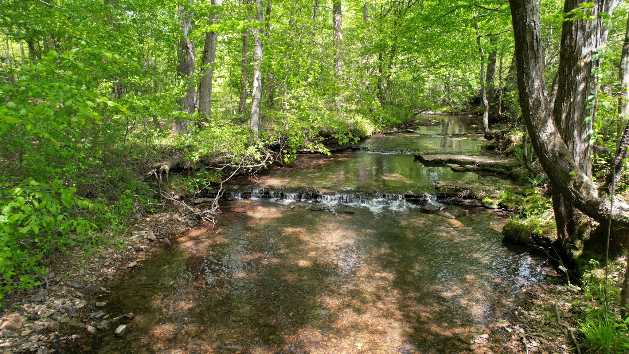 3795 Wayland Springs Road Iron City, TN 38463 - Photo 7 of 39