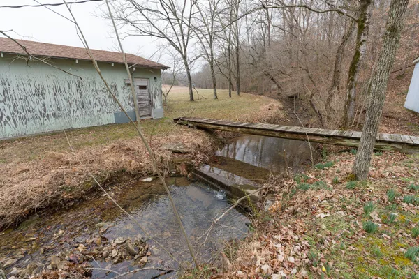 a view of backyard with outdoor space