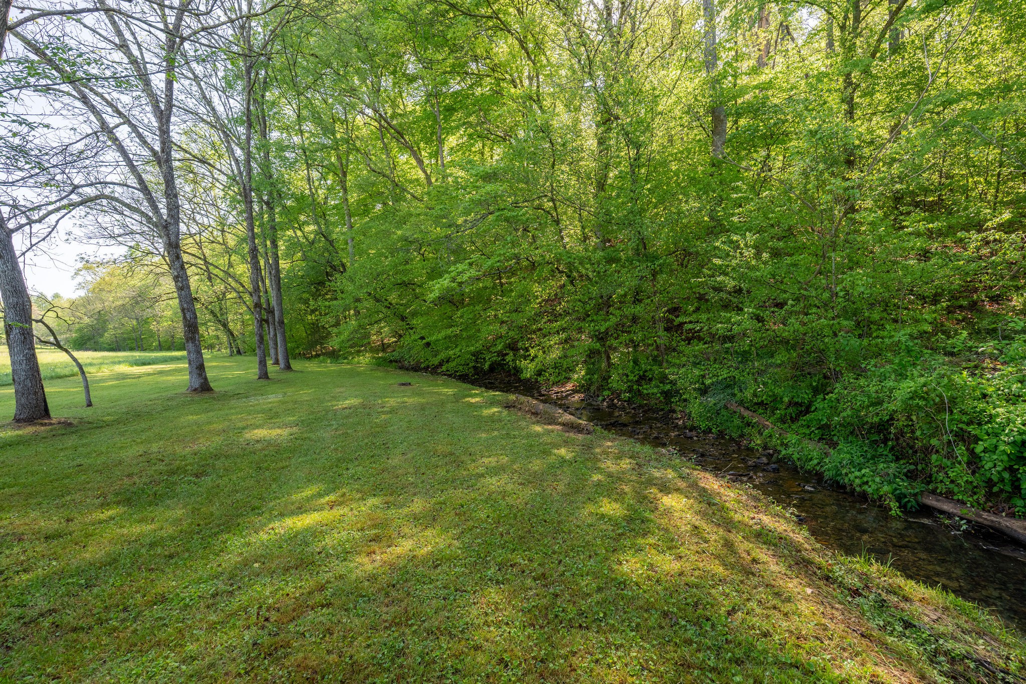 3795 Wayland Springs Road Iron City, TN 38463 - Photo 9 of 39