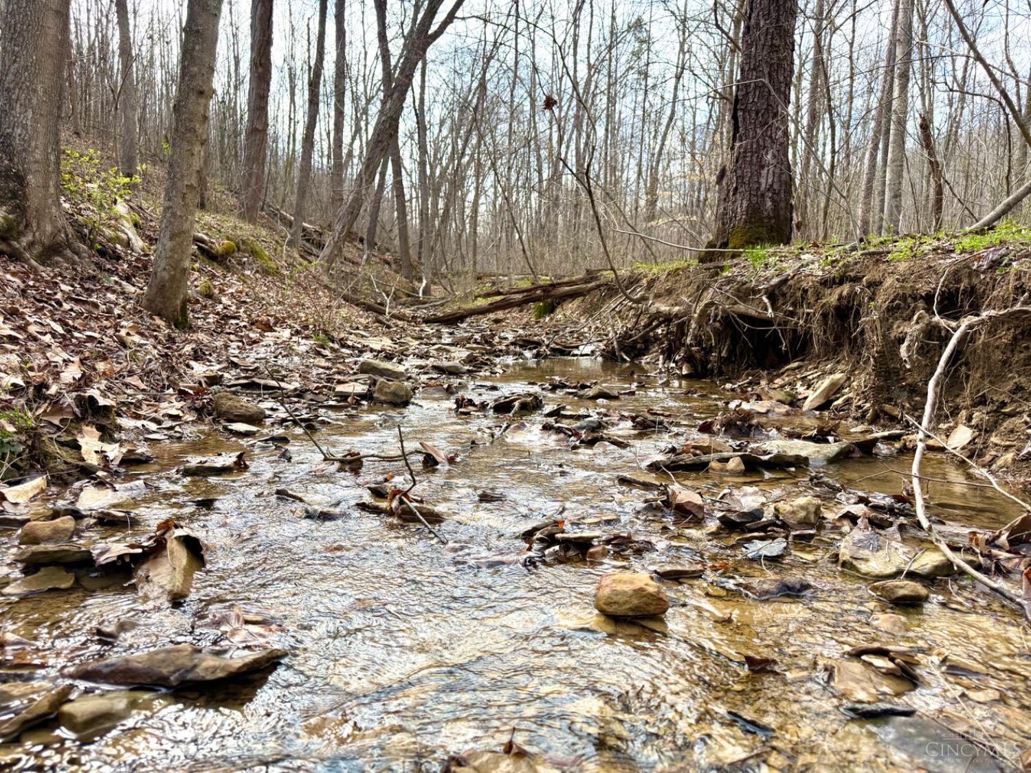0 Fyffe Hollow Road Chillicothe, OH 45601 - Photo 2 of 96