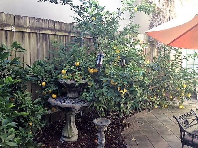 1703 Coliseum Street, Unit 1 New Orleans, LA 70130 - Photo 13 of 17