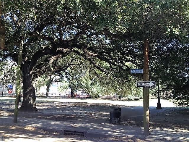 1703 Coliseum Street, Unit 1 New Orleans, LA 70130 - Photo 2 of 17