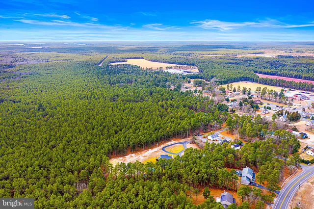 a wooden bench sitting in middle of a yard