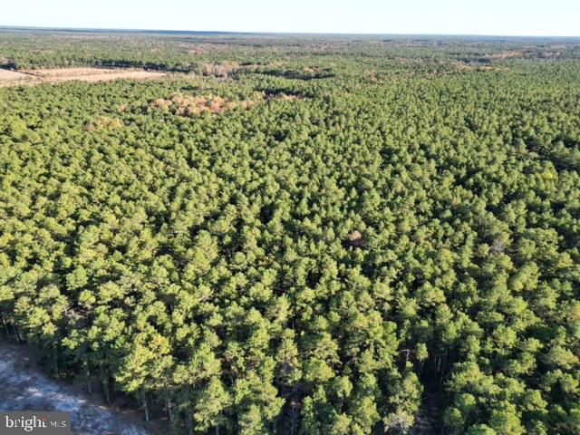 11 2nd Street Chatsworth, NJ 08019 - Photo 64 of 85