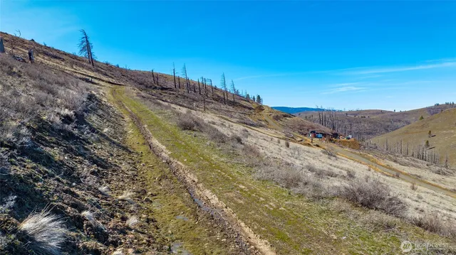 a view of a dry yard with mountain