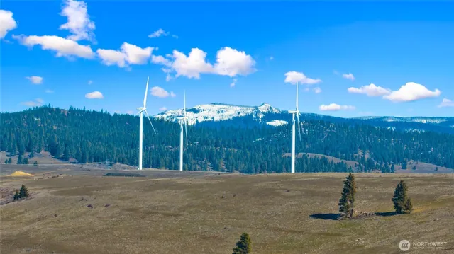 a view of a dry field with mountains in the background