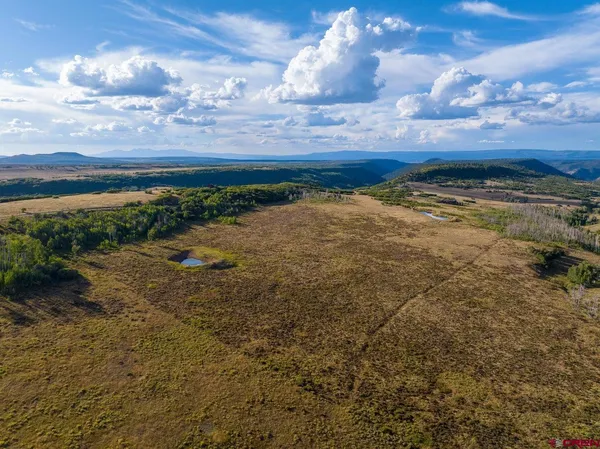 a view of a backyard of a house