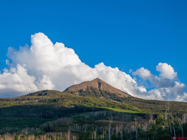 a view of a house with a yard and a large tree