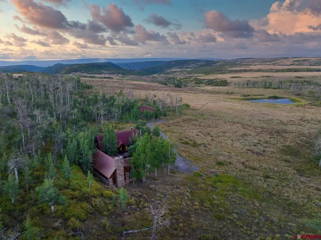 a view of a garden with an outdoor space