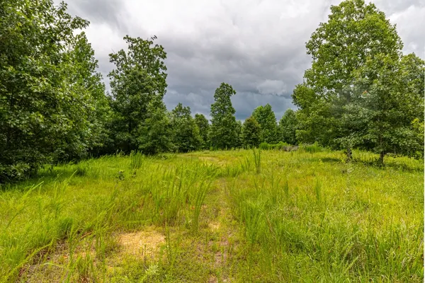$395,000 | 210 Loveman Lane, Hampshire, TN 38461