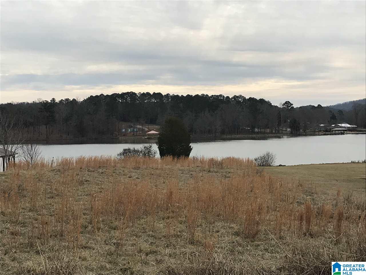0 Cove Road, Unit 13 Wilsonville, AL 35186 - Photo 4 of 6
