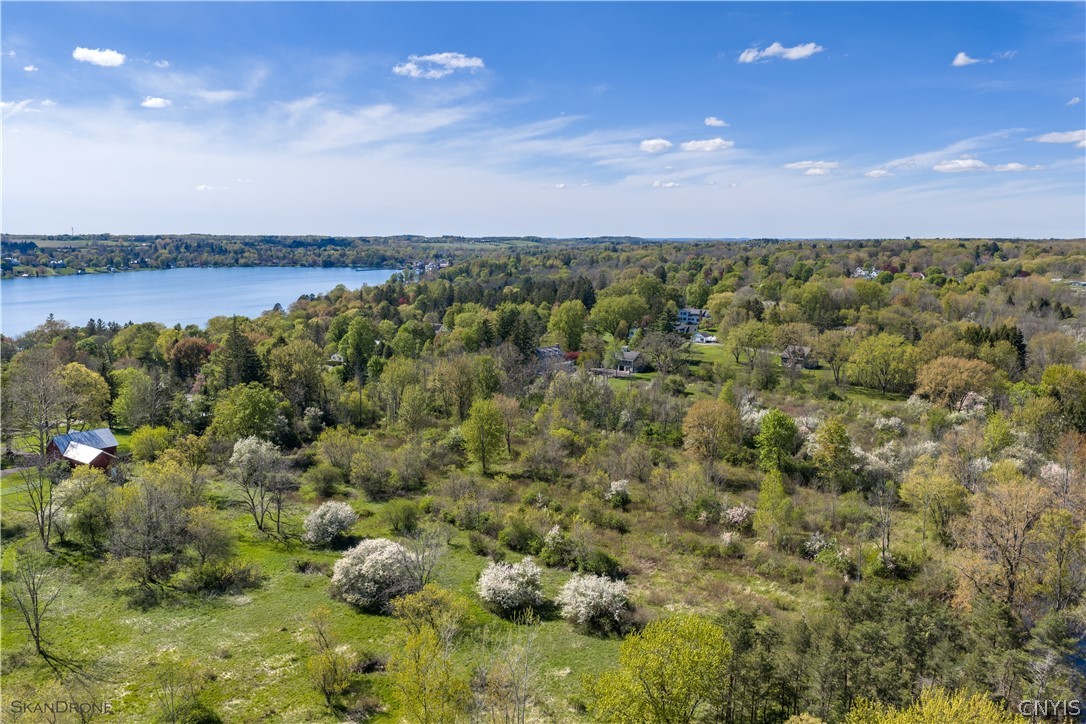 East Lake Road Skaneateles, NY 13152 - Photo 8 of 9