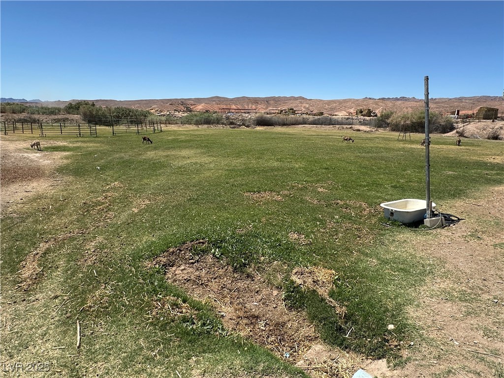 2025 Whipple Avenue Logandale, NV 89021 - Photo 39 of 44 View of fully fenced lower pasture