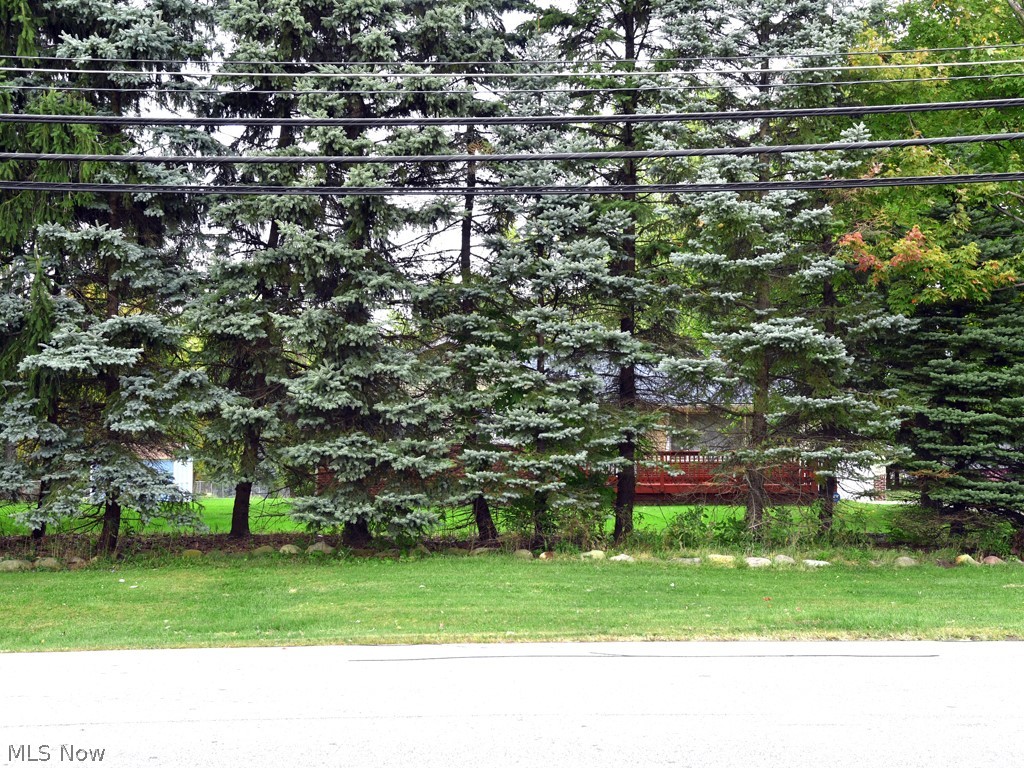 19924 Drake Road Strongsville, OH 44149 - Photo 2 of 31 View From the Street