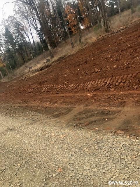 Richardson (lot 9) Road Dallas, OR 97338 - Photo 6 of 6