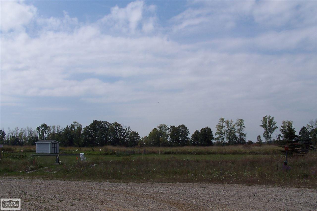 Ray Lane Capac, MI 48014 - Photo 3 of 7 50023718-2.JPG