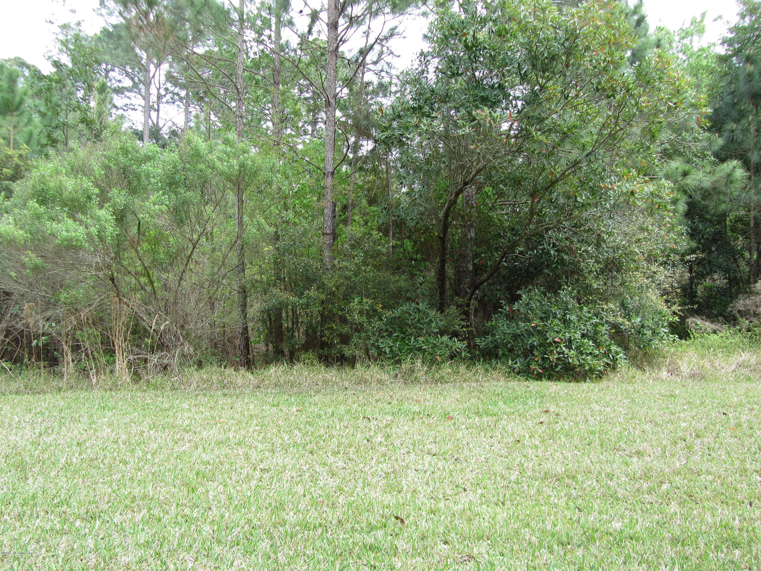 9745 Touchton Road, Unit 803 Jacksonville, FL 32246 - Photo 30 of 52 Private View in Back