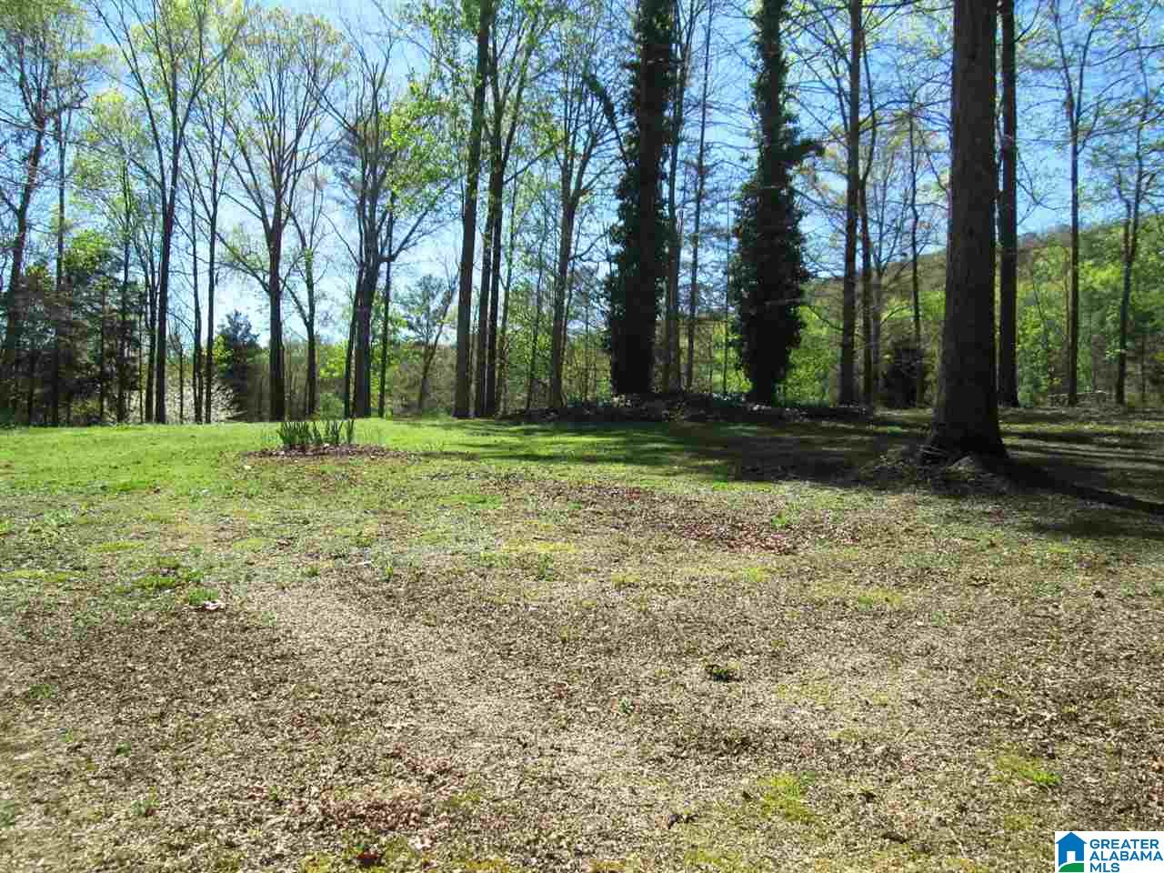 5550 Crawford Cove Road Steele, AL 35987 - Photo 6 of 36