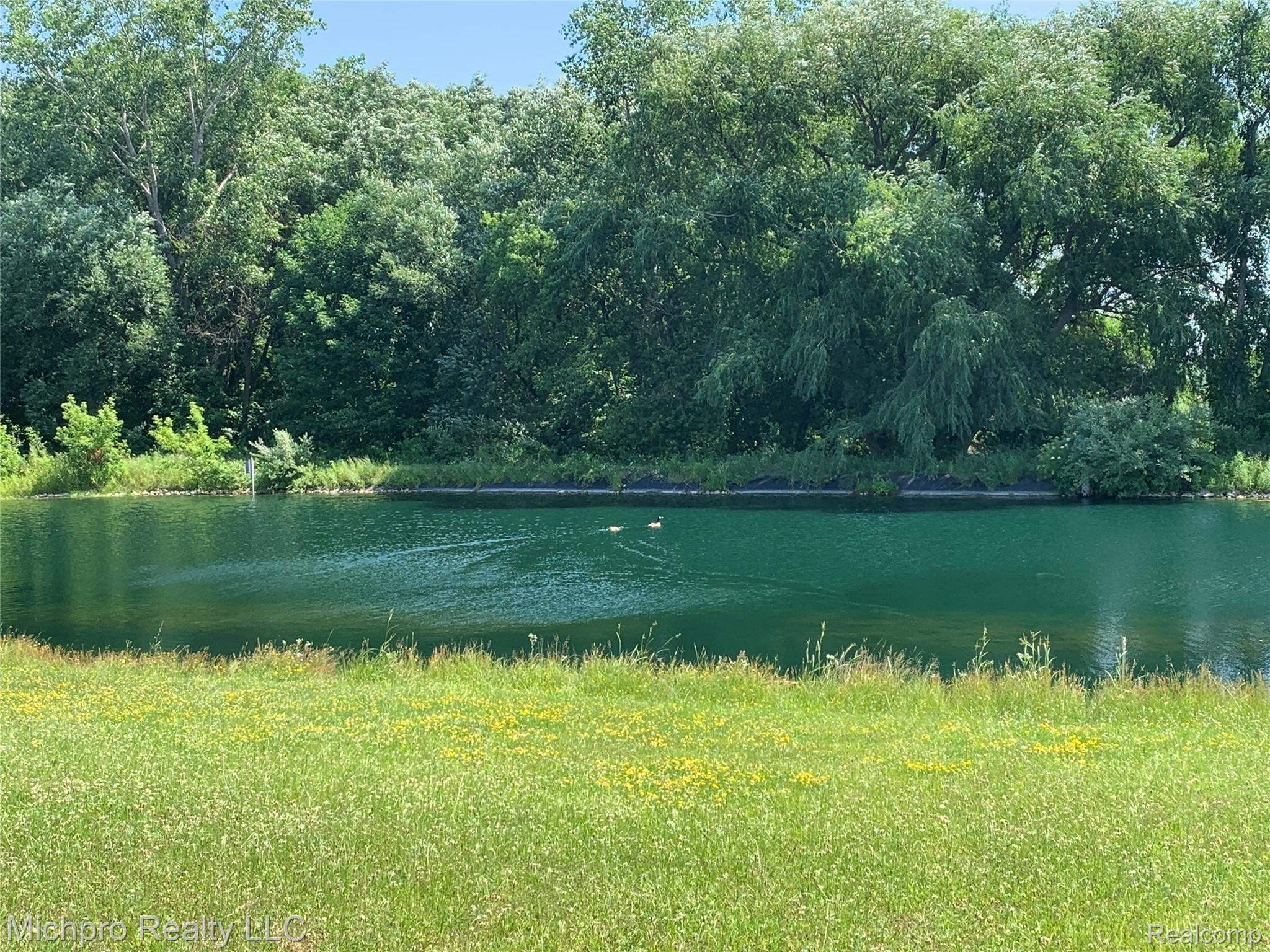 7229 Shaw Road Imlay City, MI 48444 - Photo 75 of 97 IMG_6423.JPG