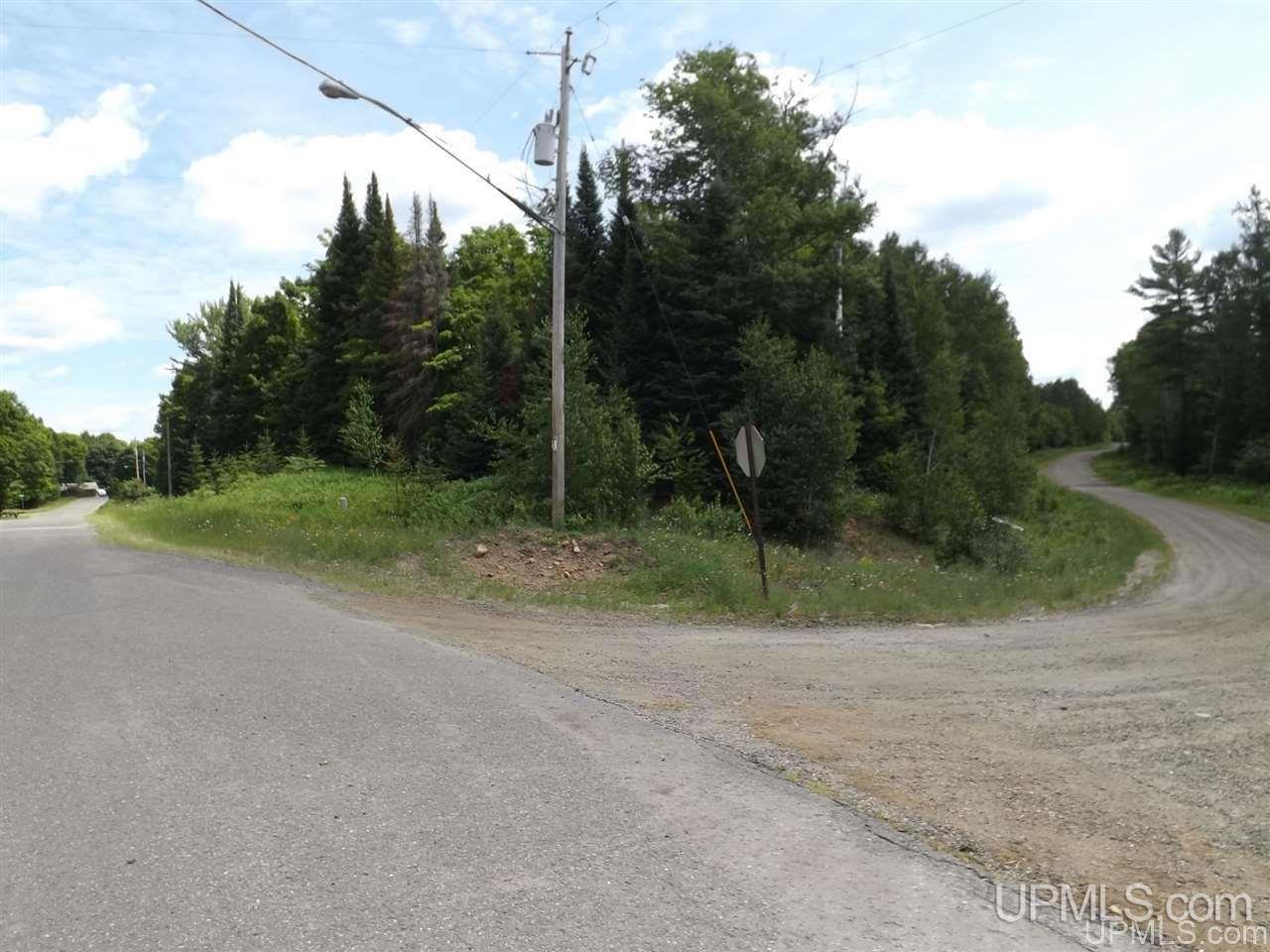 Tbd South Olson Lake Road Michigamme, MI 49861 - Photo 11 of 25