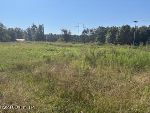 156 McGregor Chapel Road South Pontotoc, MS 38863 - Photo 27 of 27 35