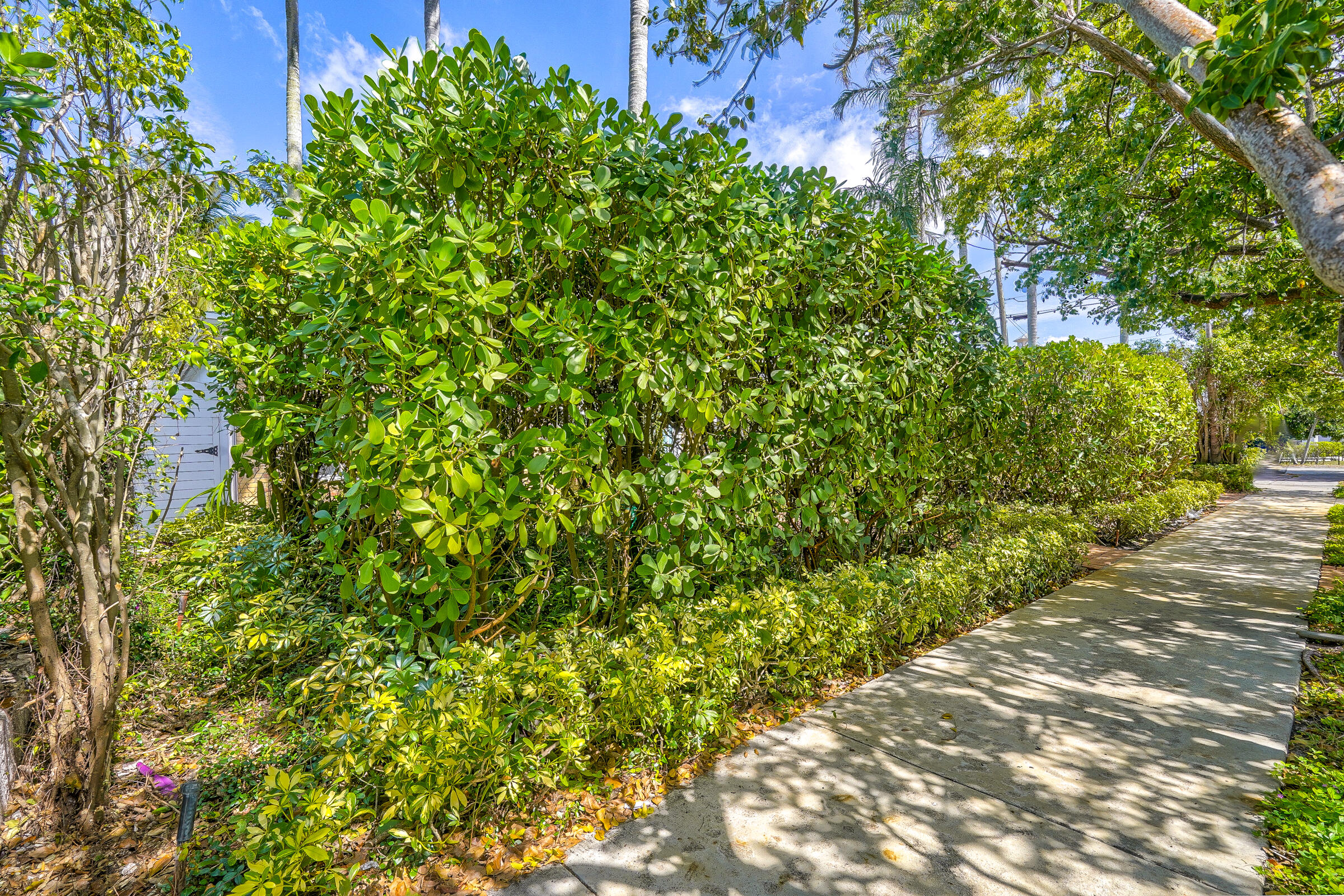 411 26th Street West Palm Beach, FL 33407 - Photo 65 of 65 41126St-4