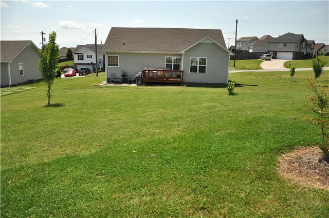 1847 Twin Rivers Road Clarksville, TN 37040 - Photo 20 of 20 Big Yard!