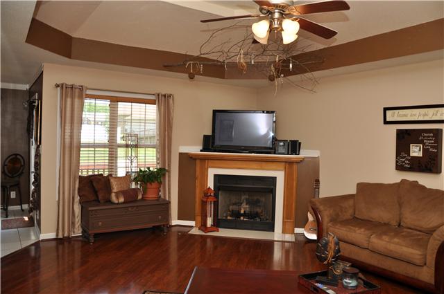 Gas Fireplace